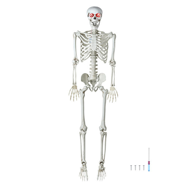 Halloween Decoration  Skeleton, Life Size Posable Skeleton with Stake Red Eyes Sound Activated Realistic Human Bones, Halloween Decoration for Indoor Outdoor Spooky Scene Haunted House（No shipping on 