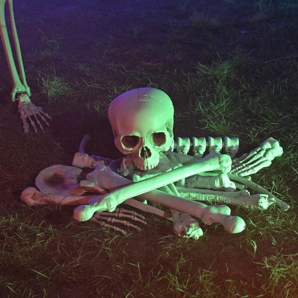 28 Pieces Skeleton Bones and Skull for Halloween Decor or Spooky Graveyard Ground Decoration for   decorating walls, doors, windows, tables, closets, haunted houses,   graveyards, bars, stages（No ship