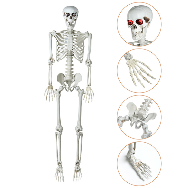 Halloween Decoration  Skeleton, Life Size Posable Skeleton with Stake Red Eyes Sound Activated Realistic Human Bones, Halloween Decoration for Indoor Outdoor Spooky Scene Haunted House（No shipping on 