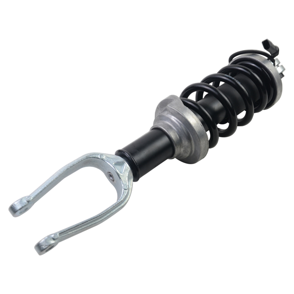 Air Suspension Shock Absorber for Front L / R Audi R8 4S3 Spyder 4S9 4S0412019 4S0412020 4T0412019G