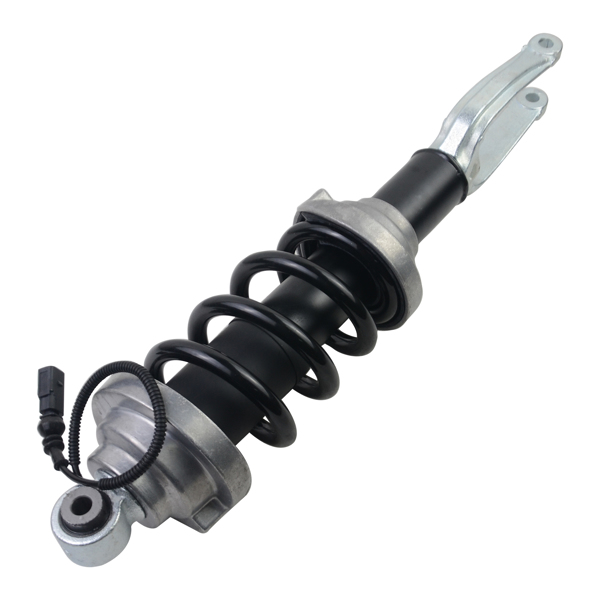 Air Suspension Shock Absorber for Front L / R Audi R8 4S3 Spyder 4S9 4S0412019 4S0412020 4T0412019G