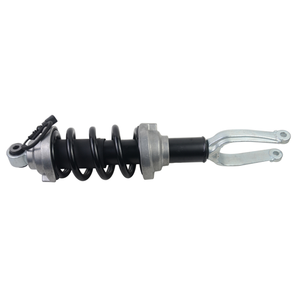 Air Suspension Shock Absorber for Front L / R Audi R8 4S3 Spyder 4S9 4S0412019 4S0412020 4T0412019G