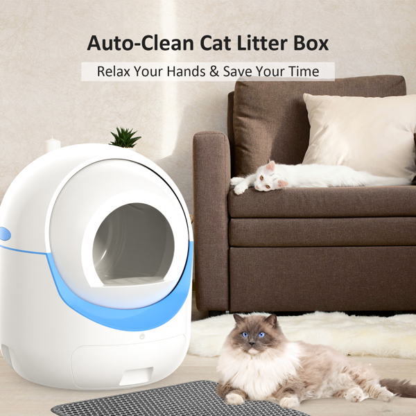 Self-Cleaning Cat Litter Box, Automatic Cat Litter Box for Multiple Cats with APP Control/Safety Protection (FBA NOT FBA logistics