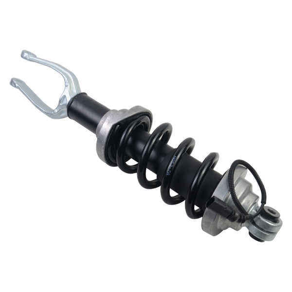 Air Suspension Shock Absorber for Front L / R Audi R8 4S3 Spyder 4S9 4S0412019 4S0412020 4T0412019G