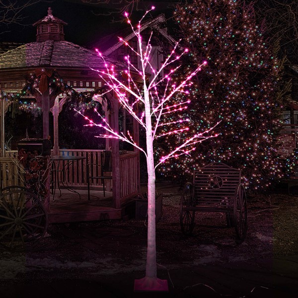 6FT 305 LED Colorful Birch Tree, Color Changing Light Up Tree with Pink Purple Fairy Light Remote, Artificial Christmas White Birch Tree for Indoor Outdoor Holiday Party Home Yard Decoration（No shippi