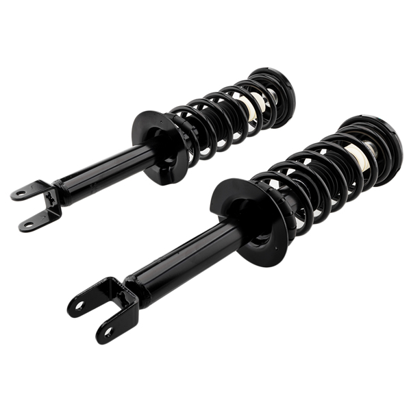 For 2008 2009 2010 2011 2012 Honda Accord Complete Rear Struts & Springs Pair