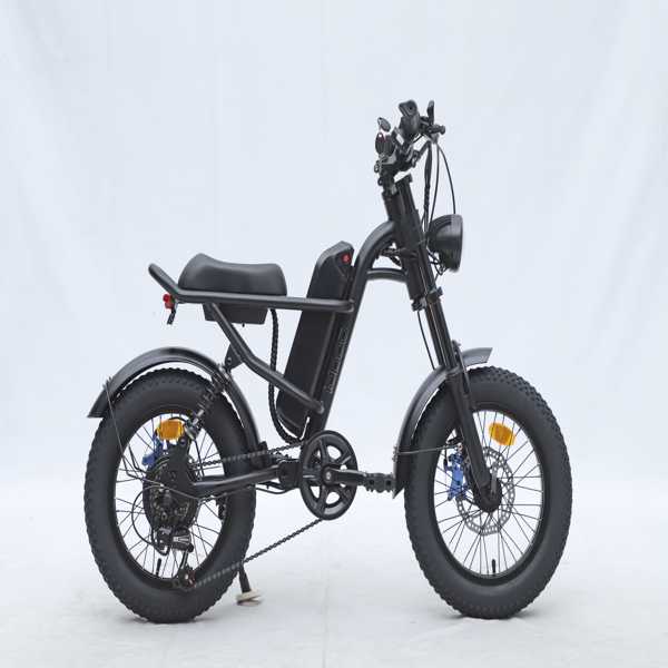 GT-0J2 New Design Electric Bicycle Out Door With 16'' Fat Tire Ebike For Kids 4.1''- 4.8''