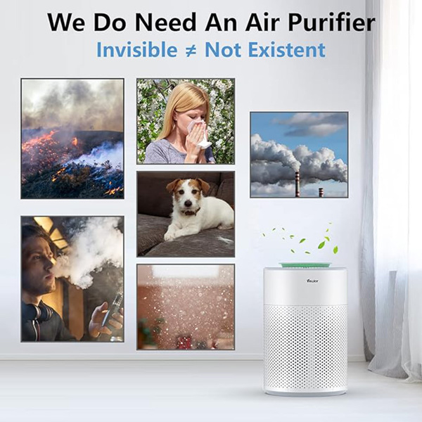 Air Purifier A2 Replacement Filter,  H13 True HEPA Air Cleaner Filter（FBA仓发货，亚马逊禁售）