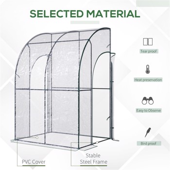 Walk-in Greenhouse-Green and Clear