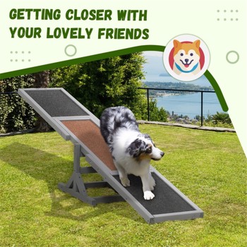 Wooden Dog Agility Seesaw 