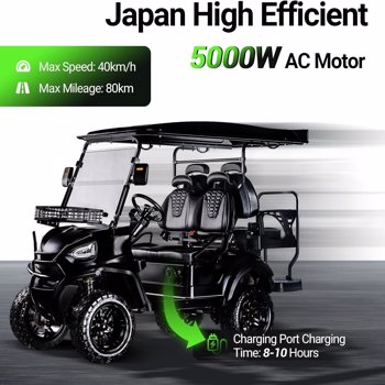 Golf Cart, Golf Car Build in 48V 5000W AC Motor with 18 Inch Off Road Tires, Electric Golf Cart with Independent Suspension for Golf, Hunt, Scenic Spot, Hotel, Beach, School and Farm