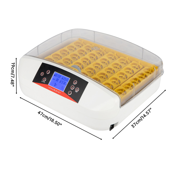 42-Egg Practical Fully Automatic Poultry Incubator with Egg Candler US Standard Yellow & & White & Transparent