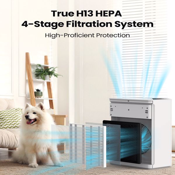 Air Purifiers for Home Large Room Up to 1736 sqft, HEPA Air Purifier with Meteor Shower Atmosphere Light, Fragrance Sponge, PM2.5 Detector Air Cleaner for Pet Dander Wildfire Smoke Pollen Odor
