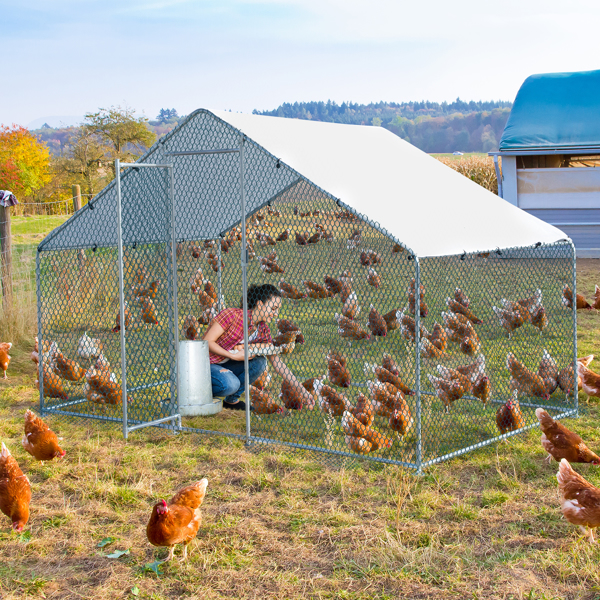 6.5 x 10 ft Large Metal Chicken Coop, Walk-in Poultry Cage Chicken Hen Run House with Waterproof Cover, Rabbits Cats Dogs Farm Pen for Outdoor Backyard Farm Garden