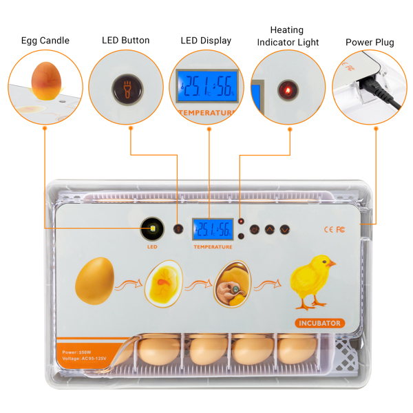 Egg Incubator, 9-20 Eggs Fully Automatic Poultry Hatcher Machine with Temperature Display, Candler, Temperature Control & Turner, for Hatching Chickens Quail Duck Goose Turkey Bottle is not included