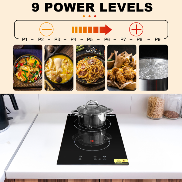 20-Inch 220v 3000w Black Glass And Iron Spray-Coated Anti-Rust Bottom Shell Rectangular 2-Burner Stove Built-In Dual-Purpose Electric Ceramic Stove Black 