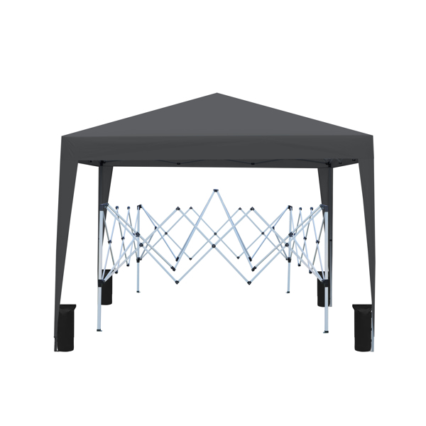 Outdoor 10 x 10 Ft Pop Up Gazebo Canopy with Removable Sidewall, 2 pcs Sidewall with Zipper,2 pcs Sidewall with Windows,with 4 pcs Sand bag  and Carry Bag,Black [Sale to Temu is Banned.Weekend can not