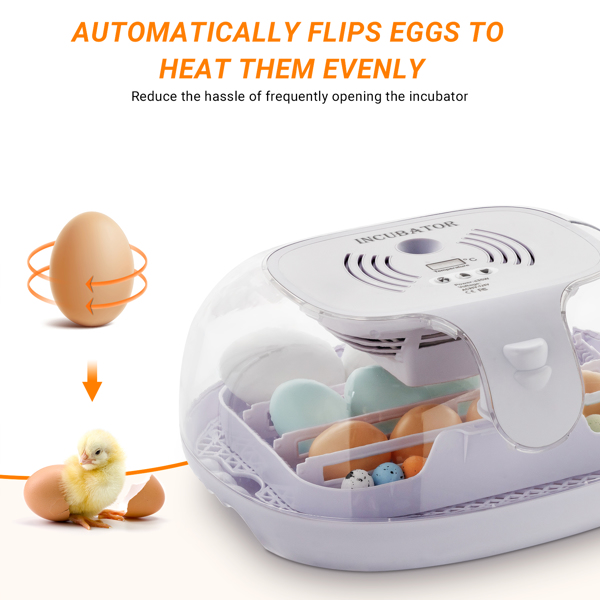 Incubators for Hatching Eggs, 360 Degree View, 16 Eggs Incubator with Automatic Egg Turning, Egg Candler and Automatic Water Adding Function for Hatching Chicken Duck Quail Goose Birds 