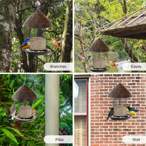 Hanging Bird Feeder with Perch and Drain Holes