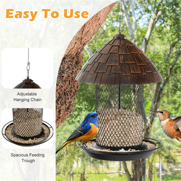Hanging Bird Feeder with Perch and Drain Holes