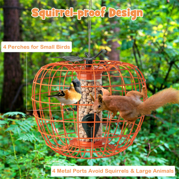 Squirrel-Proof Bird Feeder  with Cage and 4 Metal Ports