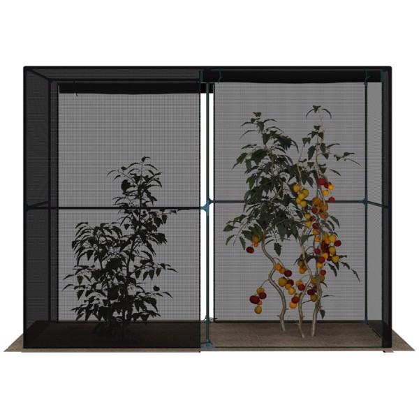 Walk-in Mini Greenhouse ( Amazon Shipping)（Prohibited by WalMart）