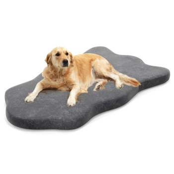 43 \\" Orthopedic Dog Bed for Large Dogs  ﻿