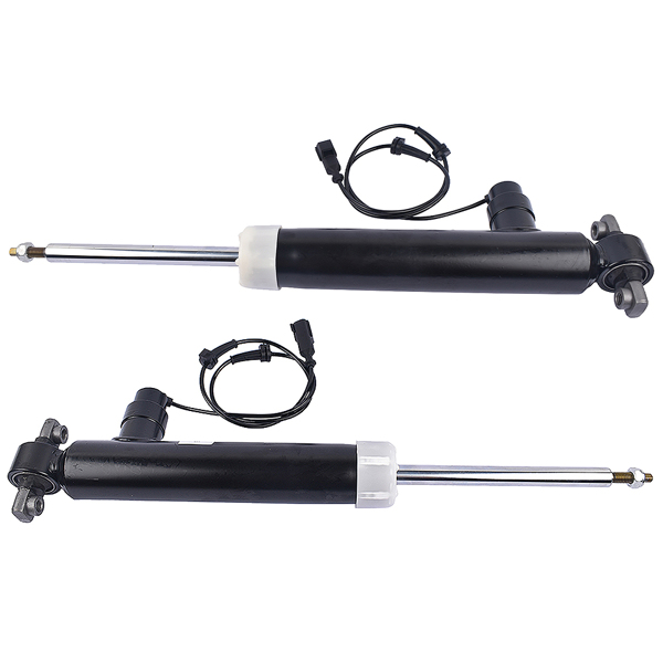 Pair Rear LH+RH Shock Absorbers ASH24587 for Lincoln MKZ 3.0L 3.7L V6 DG9Z18125B