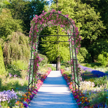 Garden Arch Trellis，Metal Structure