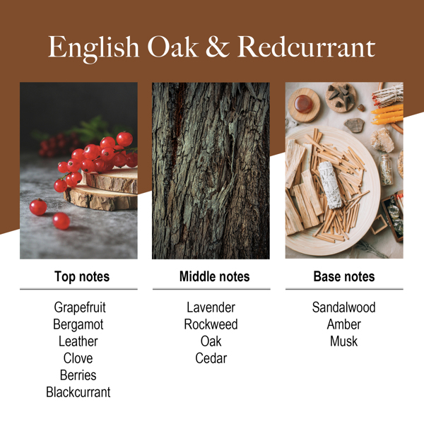 English Oak & Redcurrant Reed Diffuser 6.76oz - Essential Oil Sticks for Elegant Home Fragrance and Bathroom Accents