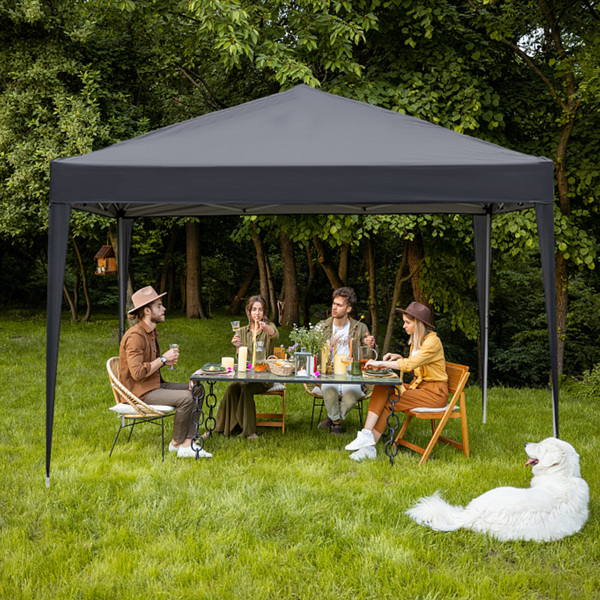 10*10ft  outdoor canopy