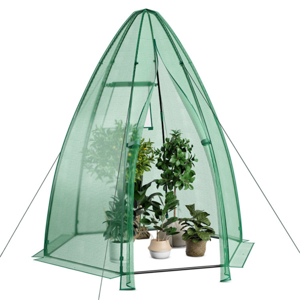 Mini Greenhouse 63" x 63" x 72"