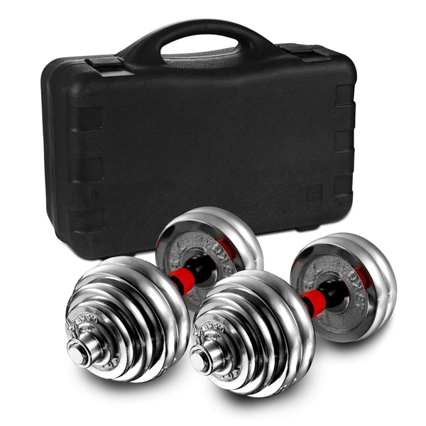 Adjustable Dumbbell Set Home Gym Cast Iron Barbell Sets with Carry Box 66lbs Office Bedroom Workout Dumbbells for Men and Women