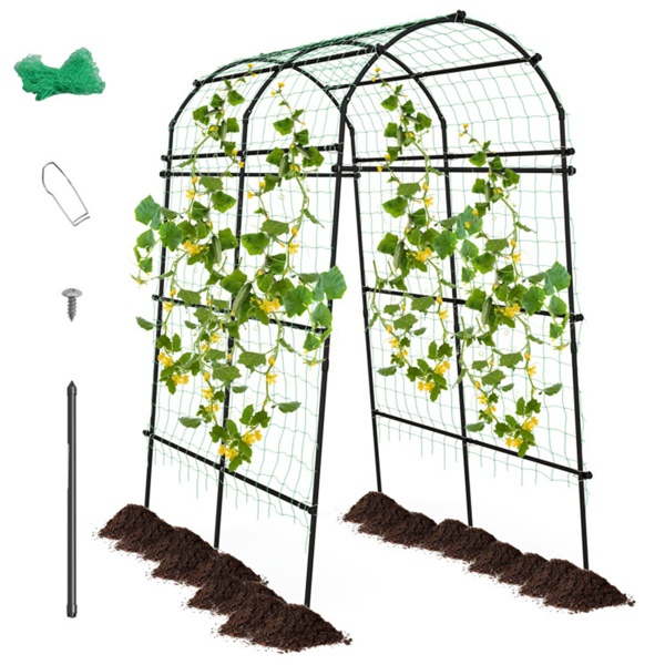 Garden Arch Trellis，Metal Structure