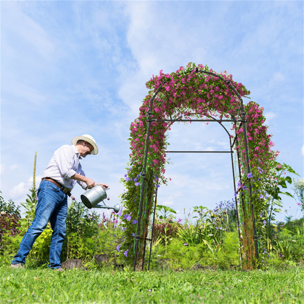 Garden Arch Trellis，Metal Structure