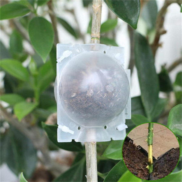 Plant Rooting Device Grow Graft Box High Pressure Propagation Ball