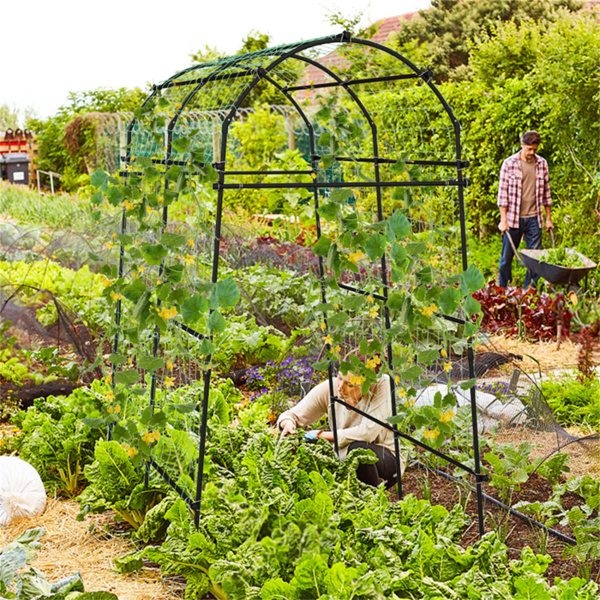 Garden Arch Trellis，Metal Structure