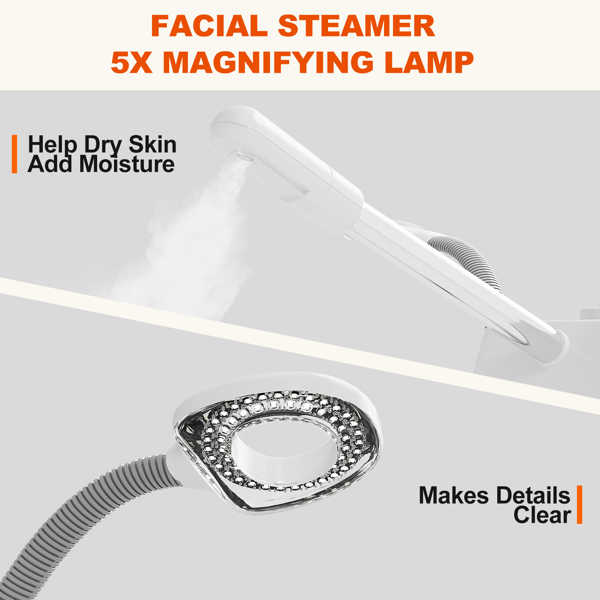 Professional Facial Steamer for Esthetician, 2 in 1 Rolling Facial Steamer with 5X Mag Lamp
