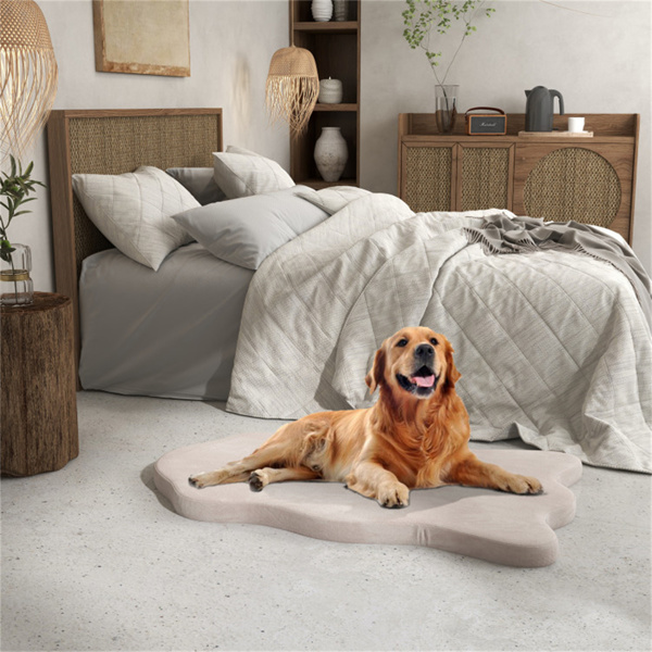 43 " Orthopedic Dog Bed for Large Dogs ﻿Beige