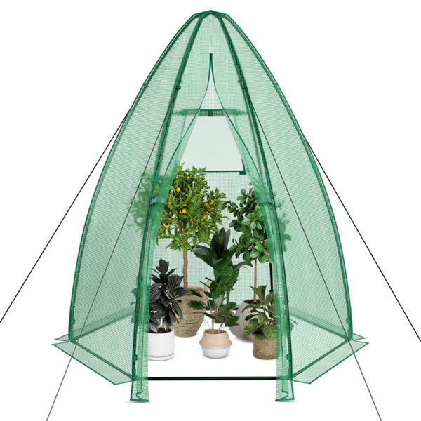 Mini Greenhouse 63" x 63" x 72"