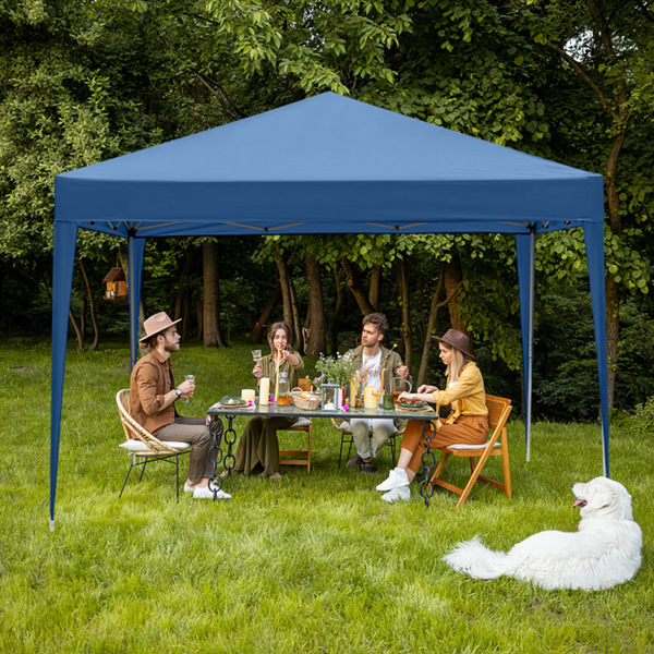 10’x10’ Pop up canopy