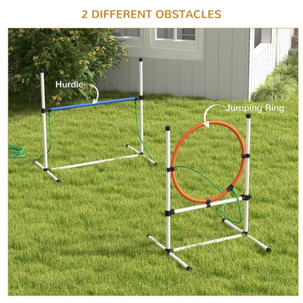 Dog Agility Training Equipment ( Amazon Shipping)（Prohibited by WalMart）