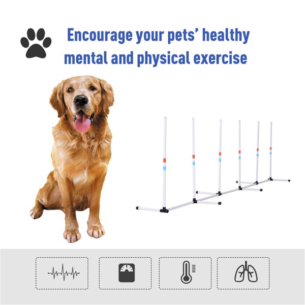 Dog Outdoor Exercise Training Set   ( Amazon Shipping)（Prohibited by WalMart）