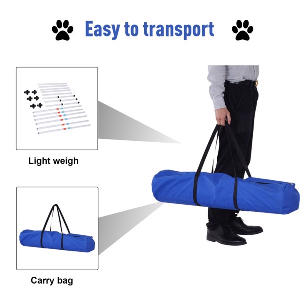 Dog Outdoor Exercise Training Set   ( Amazon Shipping)（Prohibited by WalMart）