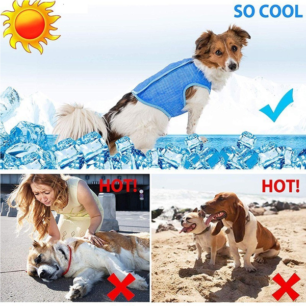 Summer Cooling Vest - Ultimate Heat Relief for Dogs and Cats, Stylish Pet Apparel for Outdoor Activities, Breathable and Comfortable Design for Hot Days （L码）