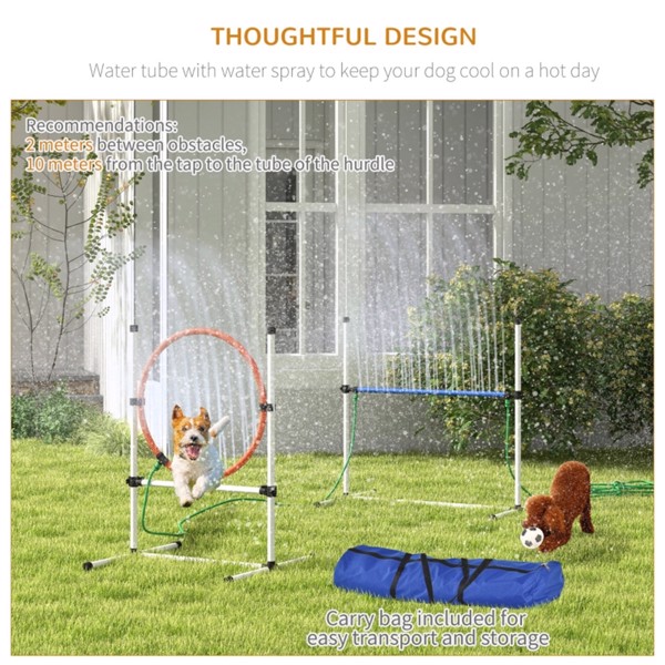 Dog Agility Training Equipment ( Amazon Shipping)（Prohibited by WalMart）