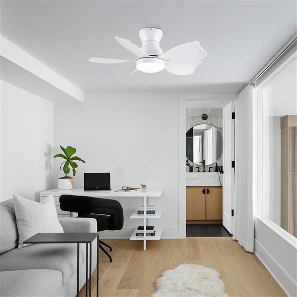 30 In Small Kid's Ceiling Fan Lighting with Remote Control for Small Children Room