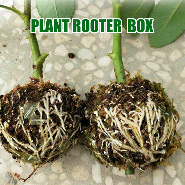 Plant Rooting Device Grow Graft Box High Pressure Propagation Ball