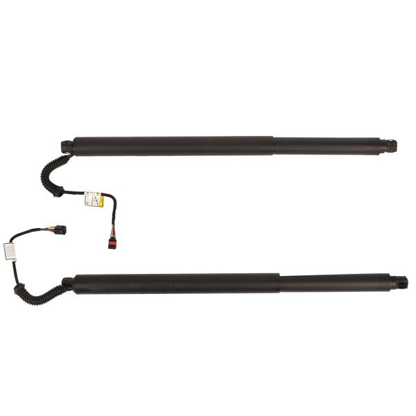 2Pcs Rear Left Right Power Lift Gate Cylinder Struts For 2015-2019 Nissan Murano 3.5L