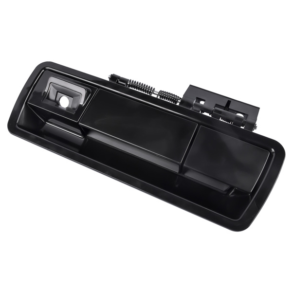 Rear Liftgate Outside Door Handle with Camera Hole for Nissan Armada 2005-2015